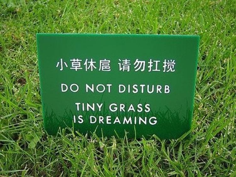 This sign, found in China made me laugh at first, and then think about whether grass can dream.